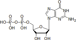 Guanosine 5 Diphosphate